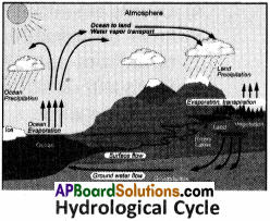 AP Board 9th Class Social Studies Important Questions Chapter 3 Hydrosphere 1