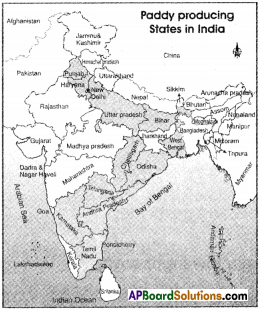 AP Board 9th Class Social Studies Important Questions Chapter 6 Agriculture in India 2