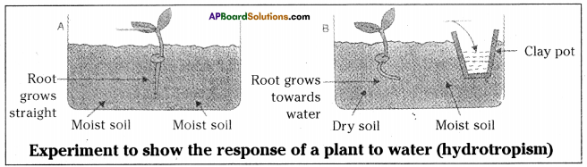 AP SSC 10th Class Biology Important Questions Chapter 5 Coordination 13