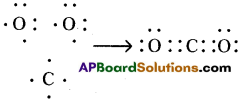AP SSC 10th Class Chemistry Solutions Chapter 10 Chemical Bonding 16
