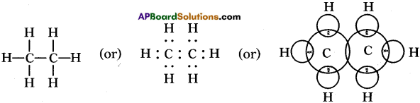 AP SSC 10th Class Chemistry Solutions Chapter 14 Carbon and its Compounds 16