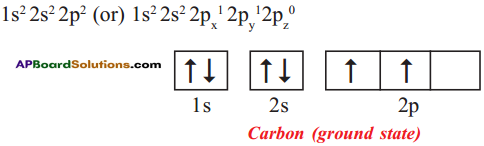 AP SSC 10th Class Chemistry Solutions Chapter 14 Carbon and its Compounds 34