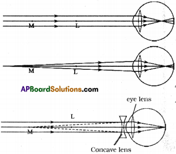 AP SSC 10th Class Physics Solutions Chapter 7 Human Eye and Colourful World 1