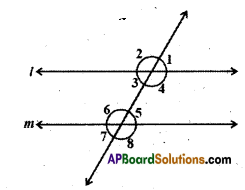 AP Board 9th Class Maths Solutions Chapter 4 Lines and Angles Ex 4.3 1