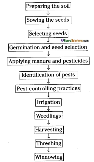 AP Board 8th Class Biology Solutions Chapter 8 Production and Management of Food From Plants 2