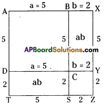 AP Board 8th Class Maths Solutions Chapter 11 Algebraic Expressions Ex 11.2 3