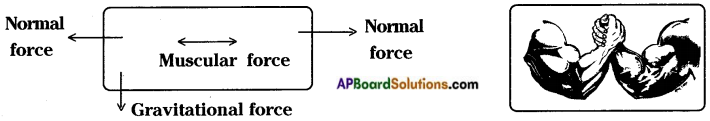 AP Board 8th Class Physical Science Solutions Chapter 1 Force 10