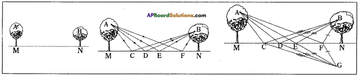 AP Board 8th Class Physical Science Solutions Chapter 10 Reflection of Light at Plane Surfaces 13