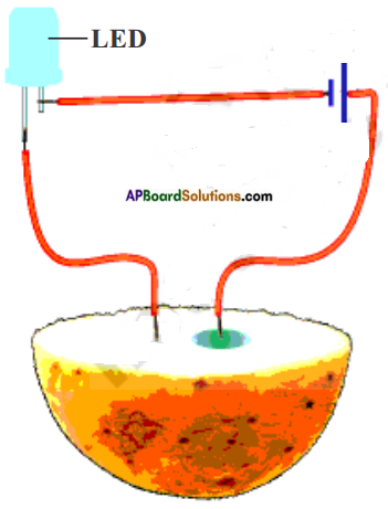 AP Board 8th Class Physical Science Solutions Chapter 9 Electrical Conductivity of Liquids 6