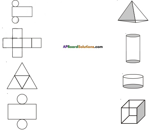 AP Board 7th Class Maths Solutions Chapter 14 Understanding 3D and 2D Shapes Ex 2 1