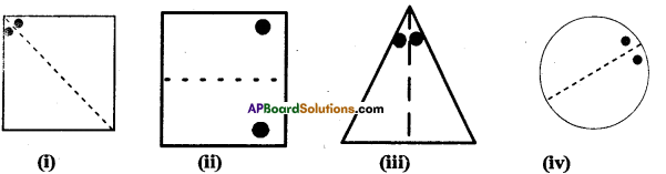 AP Board 7th Class Maths Solutions Chapter 15 Symmetry Ex 2 5