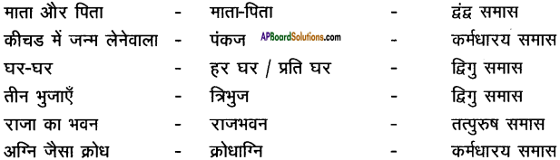 AP Board 9th Class Hindi Solutions Chapter 7 मेरा जीवन 5