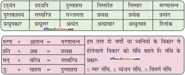 AP Board 9th Class Hindi Solutions Chapter 8 यक्ष प्रश्न 4