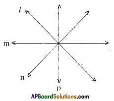 AP Board 9th Class Maths Notes Chapter 4 Lines and Angles 10
