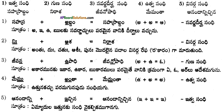 AP SSC 10th Class Telugu Solutions Chapter 7 మా ప్రయత్నం 4