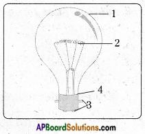 AP Board 6th Class Science Important Questions Chapter 10 Basic Electric Circuits 2
