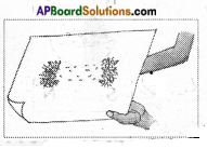 AP Board 6th Class Science Important Questions Chapter 6 Fun with Magnets 6