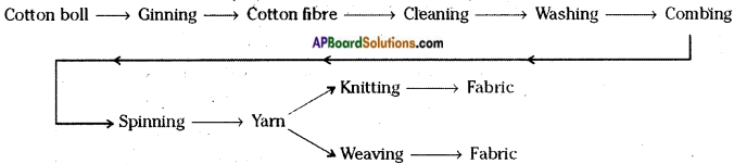 AP Board 6th Class Science Important Questions Chapter 8 How Fabrics are Made 3