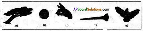 AP Board 6th Class Science Solutions Chapter 11 Shadows - Images 4