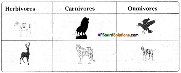 AP Board 6th Class Science Solutions Chapter 3 Animals and their Food 2