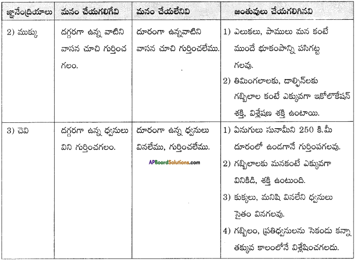 AP Board 8th Class Telugu Solutions Chapter 6 ప్రకృతి ఒడిలో 3