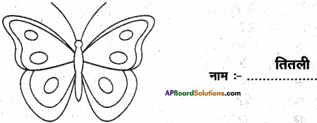 AP Board 6th Class Hindi Solutions Chapter 2 तितली 13