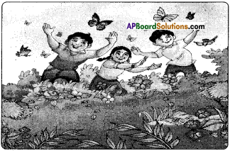 AP Board 6th Class Hindi Solutions Chapter 2 तितली 2