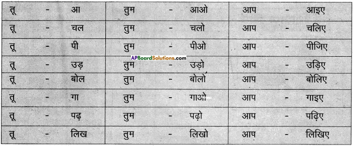 AP Board 6th Class Hindi Solutions Chapter 2 तितली 27