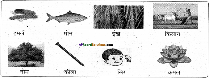 AP Board 6th Class Hindi Solutions Chapter 2 तितली 6