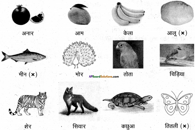 AP Board 6th Class Hindi Solutions Chapter 3 ऊँट चला 19