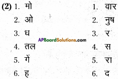 AP Board 6th Class Hindi Solutions Chapter 6 खिलौनेवाला 19