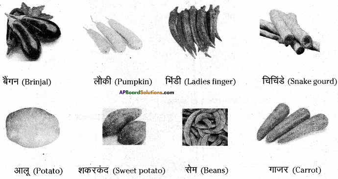 AP Board 6th Class Hindi Solutions Chapter 7 दो मित्र 21