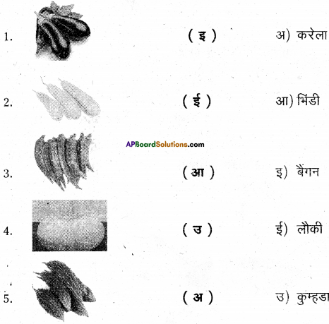 AP Board 6th Class Hindi Solutions Chapter 7 दो मित्र 27