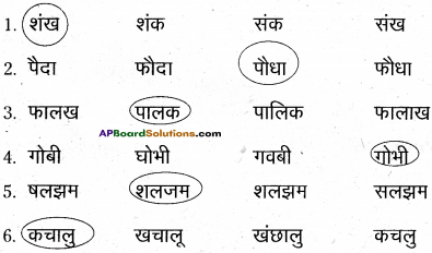 AP Board 6th Class Hindi Solutions Chapter 7 दो मित्र 28
