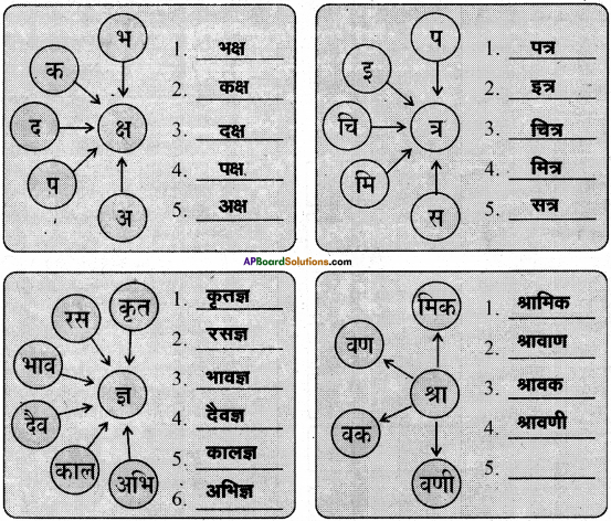 AP Board 6th Class Hindi Solutions Chapter 8 जन्म दिन 10
