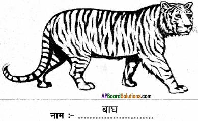AP Board 6th Class Hindi Solutions Chapter 8 जन्म दिन 11