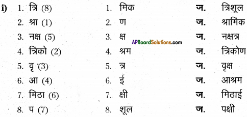 AP Board 6th Class Hindi Solutions Chapter 8 जन्म दिन 12