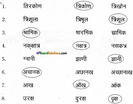 AP Board 6th Class Hindi Solutions Chapter 8 जन्म दिन 14