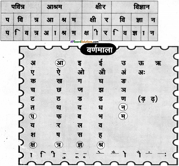 AP Board 6th Class Hindi Solutions Chapter 8 जन्म दिन 4
