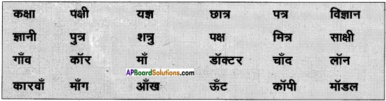 AP Board 6th Class Hindi Solutions Chapter 8 जन्म दिन 5