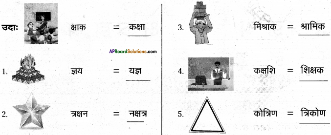 AP Board 6th Class Hindi Solutions Chapter 8 जन्म दिन 9