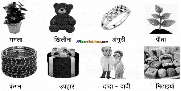 AP Board 6th Class Hindi Solutions Chapter 9 जन्म दिन 3