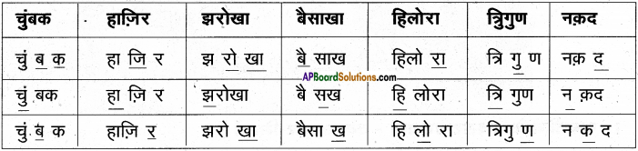 AP Board 6th Class Hindi Solutions Chapter 9 जन्म दिन 5