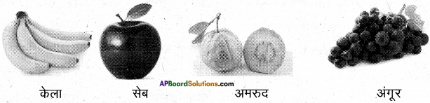 AP Board 6th Class Hindi Solutions सन्नद्धता कार्यक्रम Chapter 12 मौखिक खेल 3