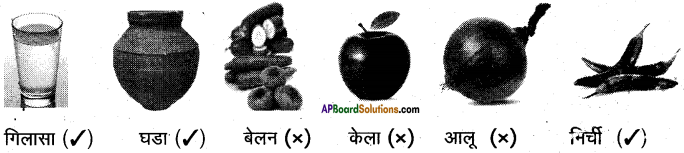 AP Board 6th Class Hindi Solutions सन्नद्धता कार्यक्रम Chapter 4 रसोई घर 8