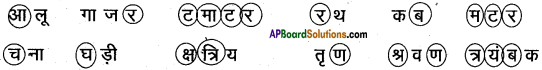 AP Board 6th Class Hindi Solutions सन्नद्धता कार्यक्रम Chapter 5 आलू - कचालू 6