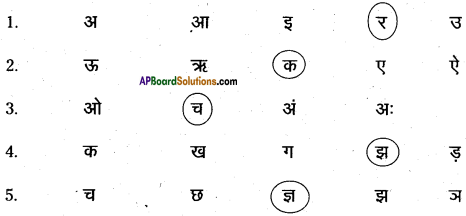 AP Board 6th Class Hindi Solutions सन्नद्धता कार्यक्रम Chapter 5 आलू - कचालू 7