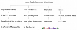 AP Board 10th Class Social Studies Notes Chapter 8 People and Migration ...