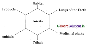 AP Board 7th Class Science Notes Chapter 16 Forest Our Life 1