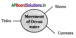 AP Board 7th Class Social Studies Notes Chapter 4 Oceans and Fishing 2